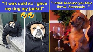Funny Memes Dog And Cute To Put A Smile On Your Face | Happy And Fun