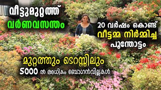 കടലാസുപൂക്കൾ നിറഞ്ഞ വീട് | മുറ്റത്തും ടെറസ്സിലും 5000-ൽ അധികം ബോ​ഗൻവില്ലകൾ | Bougainvillea Varieties