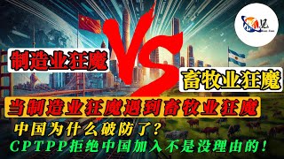 当“制造业狂魔”遇到“畜牧业狂魔”，中国为什么破防了？CPTPP拒绝中国加入不是没理由的！｜WTO｜中国对进口牛肉启动调查｜侃见｜