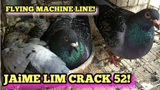 JAIME LIM LINE CRACK 52!