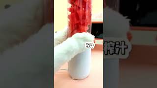 Funny Short Videos - おかしい猫はミニ食品を調理します- Funny Cat Cooking Mini Foods Short Video SV#09