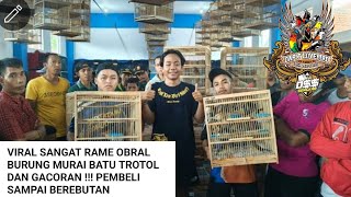 VIRAL SANGAT RAME OBRAL BURUNG MURAI BATU TROTOL DAN GACORAN !!! PEMBELI SAMPAI BEREBUTAN