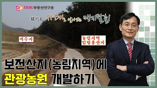 #156 // 보전산지(농림지역)에 관광농원 개발하기, 사례로 알아보는 맹지탈출!