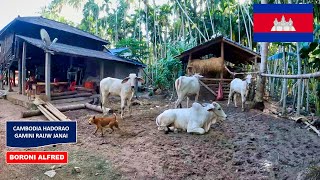 Cambodia Kampong ni Gami Beraibai