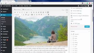 Basic Blogging Tips for WordPress - Essential WordPress Plugins