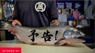 【予告】鮭魚界的勞斯萊斯_國王鮭