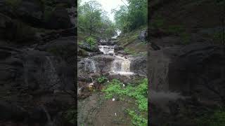 Rainy Season Jungle and Waterfall  Free HD Stock Footage 7