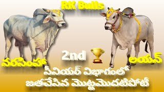 Yerlapadu(v) Pendlamarri(M) Kadapa (D) Seniors 2🏆 Winner Rk Bulls Vetapallem | 1🏆 Winner Mcor Bulls