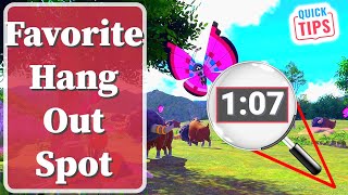 New Pokemon Snap - Favorite Hang Out Spot - A Guide To Favorite Hangout Spot Request