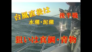 【海釣り情報】台風通過直後は釣れるかぁ！？シオ天国！後半戦