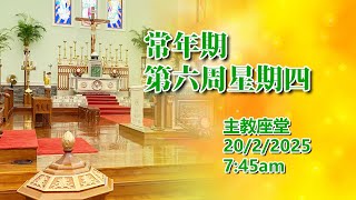 常年期第六周星期四 (20/2/2025, 7:45am)