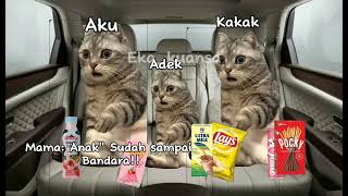 POV : pergi ke Malaysia! |meme kucing