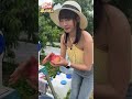 來日本marusei果樹園 超大顆水蜜桃超sweet~ shorts