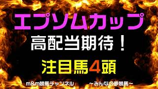 エプソムカップ2023 高配当期待　注目馬4頭