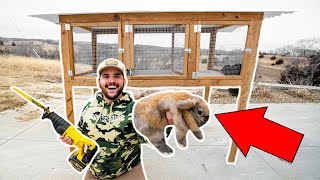 BUILDING a RABBIT HOUSE for My BACKYARD FARM!!