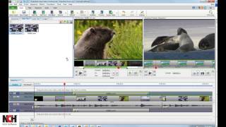 VideoPad Video Editing Software | Editing Clips Tutorial