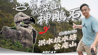 尋找深山🦅『神鵰石』同場加映：洪水坑水塘 公庵山｜[4K] Hiking Vlog＃132 Hung Shui Hang Reservoir, Divine Eagle Stone, Kung Um