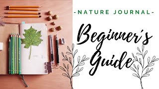 Nature Journaling: A Beginner´s Guide