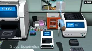 Gene Regulation Lab