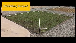 Kurapia® at SmartLandscape