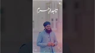 Mustafa Jaan e Rehmat Pe Lakhon Salam | New Durood o Salam | Hafiz Tahir Qadri | Ramzan 2023