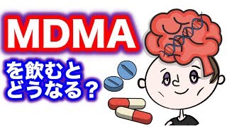 【怖すぎ】MDMAを飲むと脳ではどのような反応が起きる？