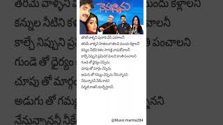 Nenunnanani telugu lyrical song 💗🎵 | Nenunnanu | Nagarjuna | Aarti aggarwal | Shriya | VN aditya