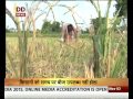 bihar ka mahasangram purnea dist special