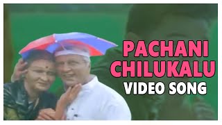 Pachani Chilukalu Video Song || Bharateeyudu  Movie ||   Kamal Haasan ||  A R Rahman || Shankar