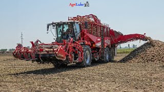 Grimme Rexor 6300 | Prima in Italia - First in Italy | Raccolta Barbabietole - Sugarbeets Harvest