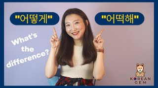 Confusing Korean Words: 어떻게 vs 어떡해 - What's the Difference???