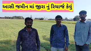 ફૂલે રીમઝીમ ( kac 94) જીરૂ | fule seeds | khetini vatu | fule rimzim jiru sabse best jiru | rimzim