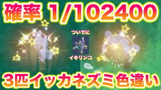 【検証】確率1/102400の色違いイッカネズミ3匹家族は何時間で捕まえられる？～Part3：1.5時間やる～【ポケモンSV/スカバイ】