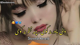 Wali Bawar Na Kawe Pa Ma Nazar Na Kawe 🥰 ( Slowed And Reverb ) Pashto New Song - Deedanoona