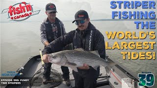 Striper Fishing in the WORLD'S LARGEST TIDES! | The Fish'n Canada Show