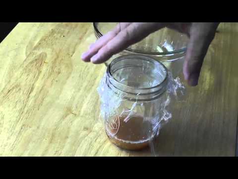 How To Save Cherry Tomato Seeds How To Save Cherry Tomato Seeds