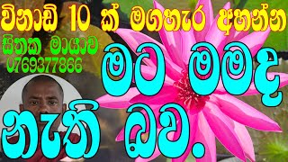 සිතක මායාව 334 (sithakamayawa) is live