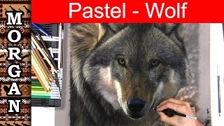 Pastel Pencil Drawing, PanPastels, Wolf Art Lesson - Jason Morgan wildlife art