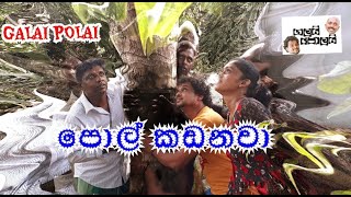 ගලයි පොලයි පොල් කඩනවා Galai Polai plumb coconut