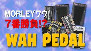 MORLEYワウ7番勝負!?