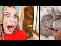 The CUTEST Animals On Tik Tok