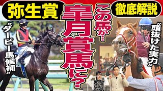 【弥生賞2024】「皐月賞馬はこの中にいる？」シンエンペラー＆川田将雅VSトロヴァトーレ＆Ｃ.ルメール勝つのは…朝日奈ゆう＆競馬記者が有力馬解説《東スポ競馬》