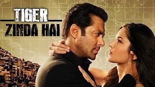 Tiger Zinda Hai | Salman Khan & Katrina Kaif To Reunite | Ek The Tiger Sequel