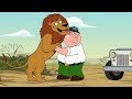 Peter Reunites With His Pet Lion In The Wild