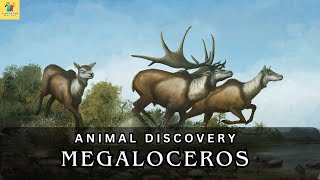 Megaloceros: Unraveling the Mystique of the Giant Deer