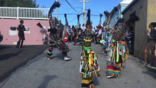 Places' New Generation Gombeys, Boxing Day 2015