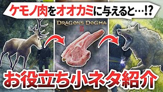 【ドラゴンズドグマ2】集団で襲ってくるオオカミさんに美味しそうなお肉を与えると、、、【DragonsDogma2】