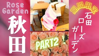 【秋田/Akita】🌹ローズカフェ 行ってみた 大館 バラ名所 石田ローズガーデン  観光 リニューアル Akita RoseGarden . Japan