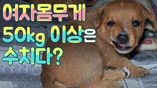 여자몸무게 50kg 이상은 수치? 연예인 몸무게의 오류 - 미용체중 3부