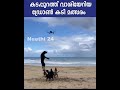 കടപ്പുറത്ത് വാശിയേറിയ ഡ്രോൺ കടി മത്സരം drone vs dog fight